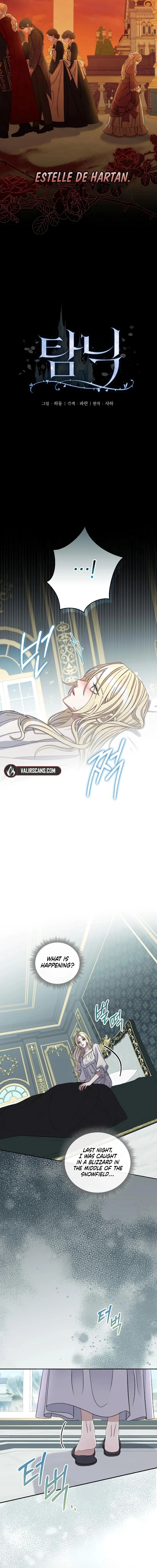 74890635 800 8000 658272